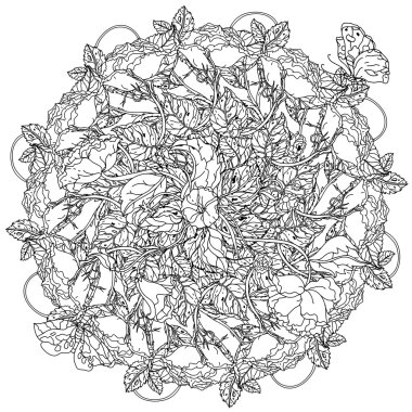 elle çizilmiş yaban gülü seti