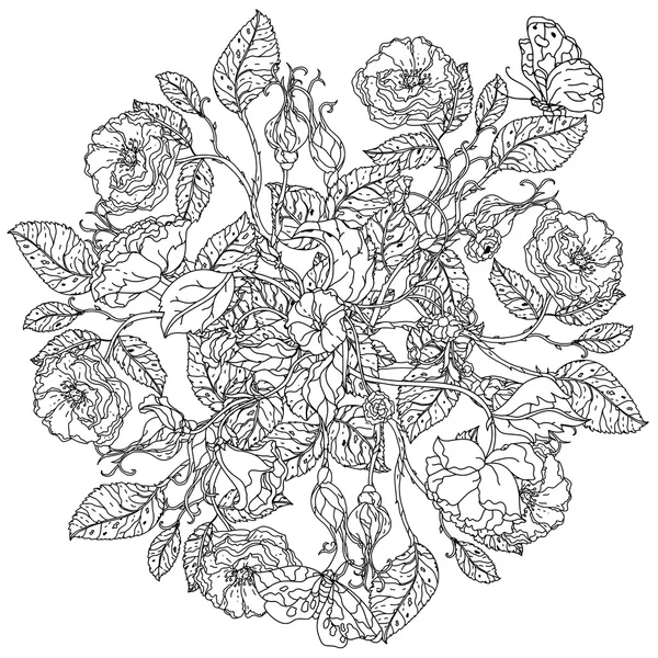 Mano dibujado rosas silvestres conjunto — Vector de stock