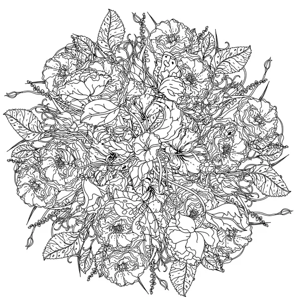 Set de roses sauvages dessinées à la main — Image vectorielle