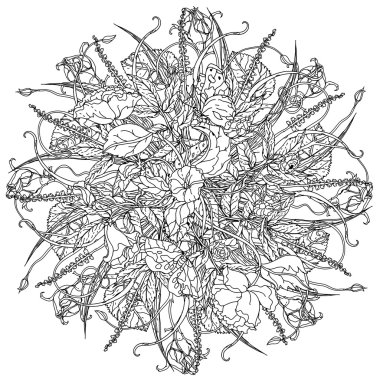 elle çizilmiş yaban gülü seti