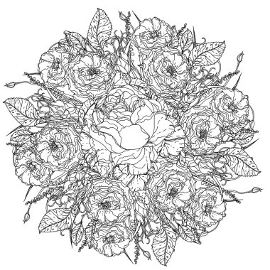 Natürmort kitap antistress tarzı boyama