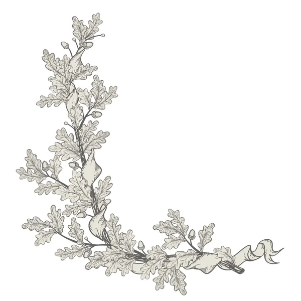 Oak branch — Stock Illustration Oak branch Royalty Free Stock Illustrations