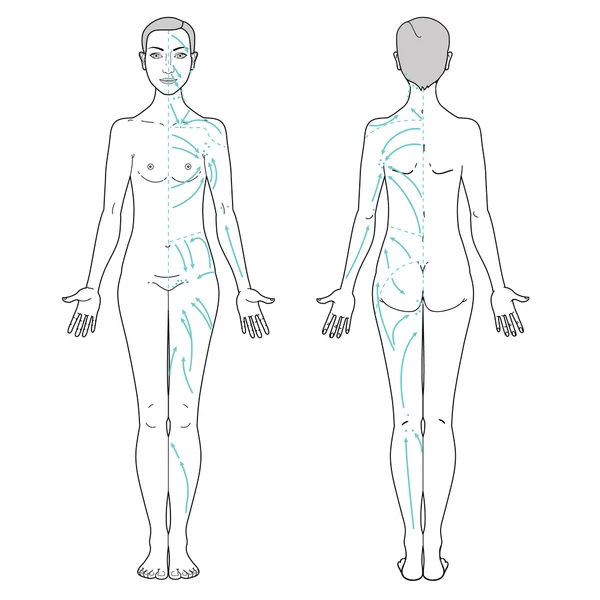 Massage lymphatique — Image vectorielle