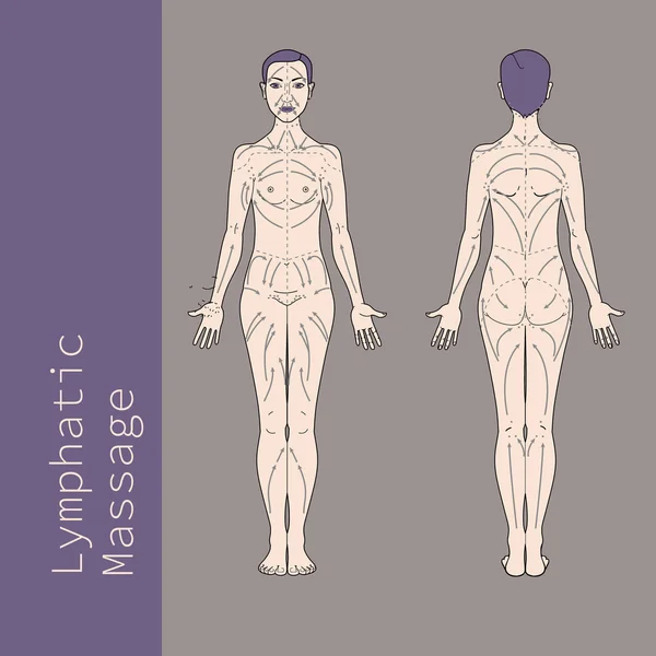 Lymphmassage — Stockvektor