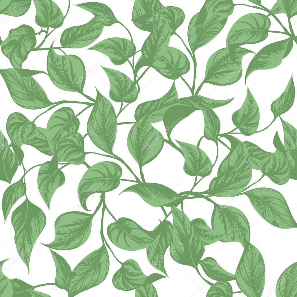 seamless background. leaves Monstera with outline