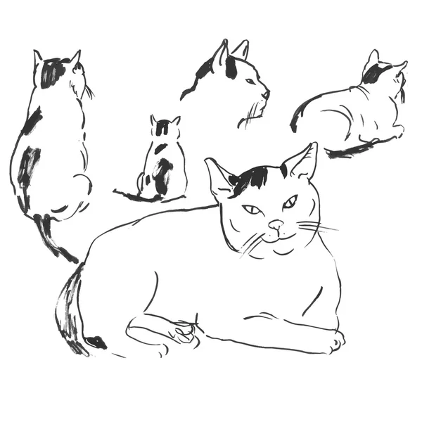 Bocetos de gatos en diferentes poses.doodles — Vector de stock