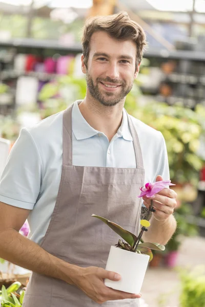 Florista masculino segurando uma flor — Fotografia de Stock