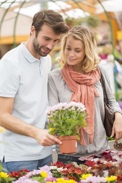 young couple choosing flowers in the garden center