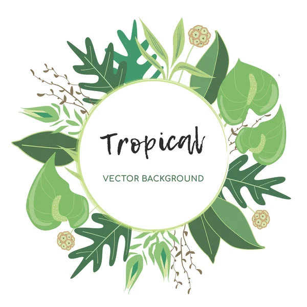 Marco Redondo Tropical Vectorial Plano Para Fondo Con Anturios Plantas — Vector de stock