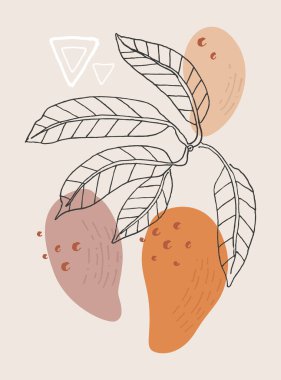  Vektör soyut mango meyveleri ve bohem terracotta renklerinde çizimler. İç mekan posteri olarak mükemmel, tekstil baskısı, yaz, eko, tatil, tatil, güzellik, kaplıca tasarım unsuru.