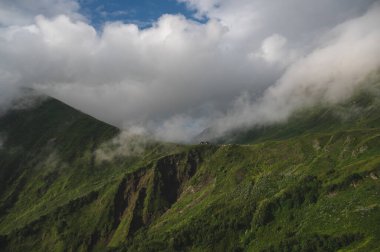 Kafkasya çayırları yaz gününde, yağmurdan sonra