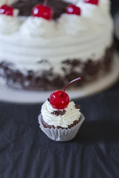 Fekete erdő torta Jogdíjmentes Stock Fotók