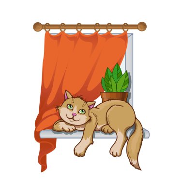 yavru kedi w