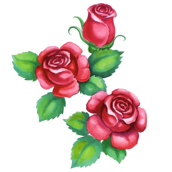 Τριαντάφυλλα — Διανυσματικό Αρχείο