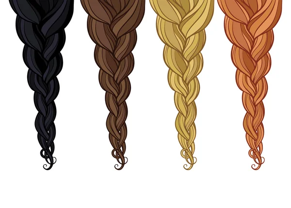 Trenza de cabello — Vector de stock