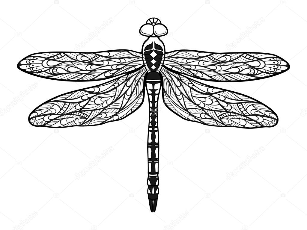 dragonfly