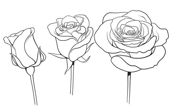 251 Three Roses Drawing Vector Images Free Royalty Free Three Roses Drawing Vectors Depositphotos 251 Three Roses Drawing Vector Images Free Royalty Free Three Roses Drawing Vectors Depositphotos