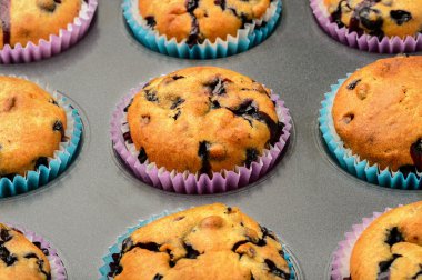 Siyah arka plan üzerine bir yaban mersini ve Blueberry muffins.