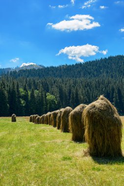 Dağ Vadisi saman yığını.