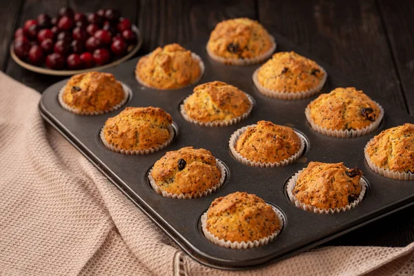 Homemade Chia Seed Cranberry Muffins — Stock Photo, Image