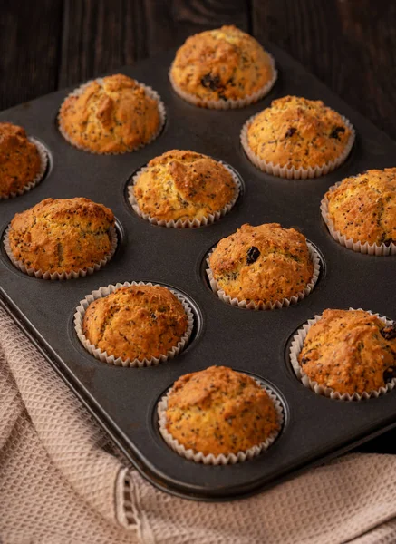 Homemade Chia Seed Cranberry Muffins Stock Picture