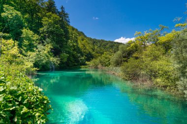 Plitvice Gölleri, Hırvatistan.