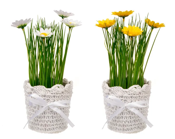 Primavera artificial amarillo y blanco l flor en maceta decorativa aislada . —  Fotos de Stock