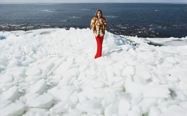 Woman posing in dress at winter time — ストック写真