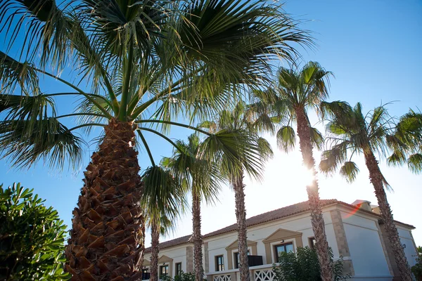 Hotel met palmbomen — Stockfoto