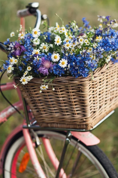 Damenfahrrad im Park — Stockfoto