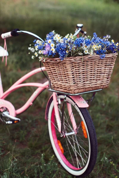 Signore bicicletta nel parco — Foto Stock