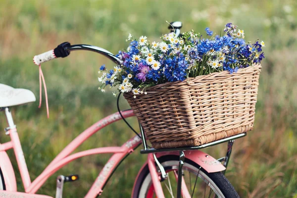 Bicicleta de las señoras en parque — Foto de Stock