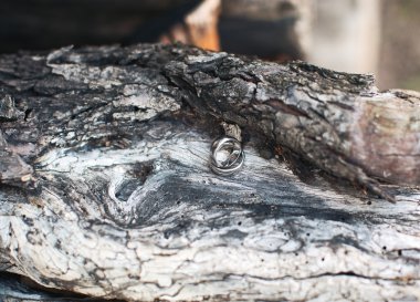 Evlilik yüzükleri.