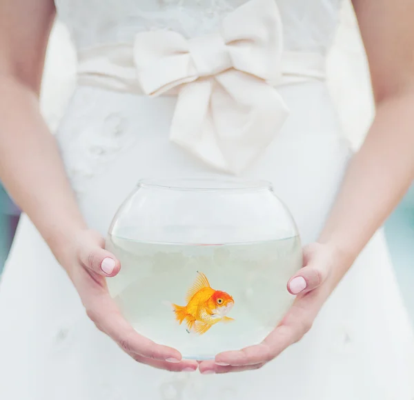 Wedding golden fish — Stock Photo, Image