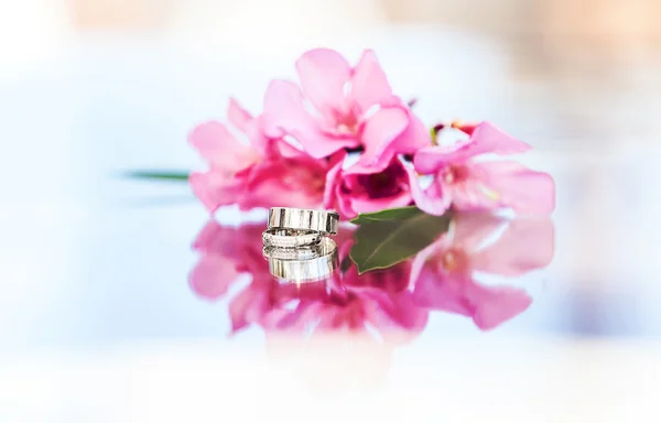 Anillos de boda — Foto de Stock