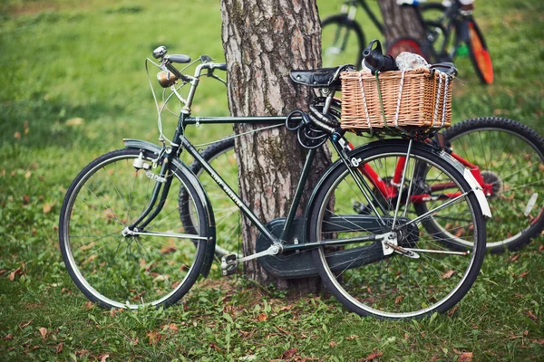 Велосипеды на траве в парке — стоковое фото