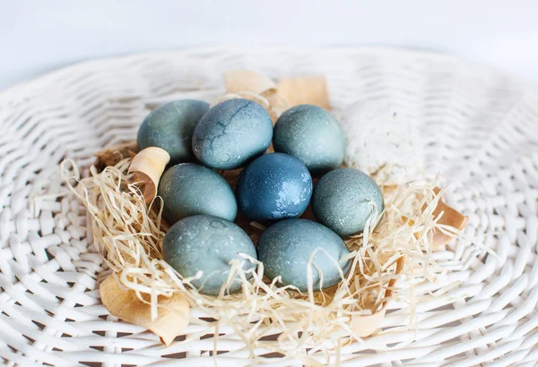 Blue Eastern eggs — Stock Photo, Image