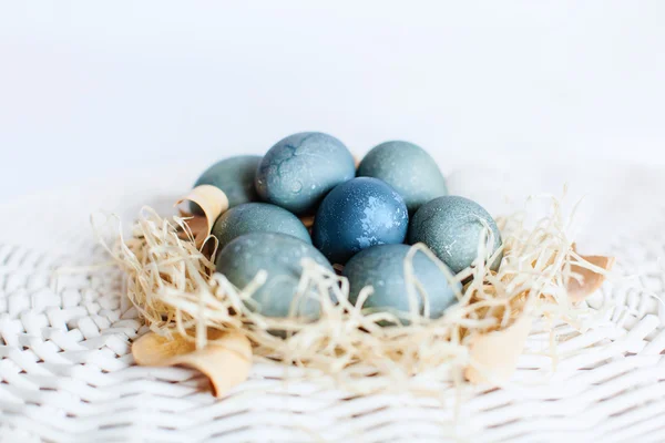 Huevos azules orientales — Foto de Stock