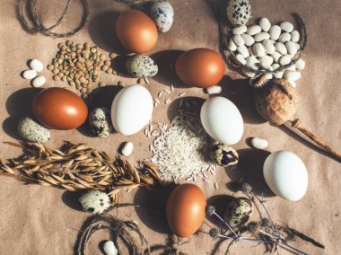 tavuk ve Bıldırcın yumurta