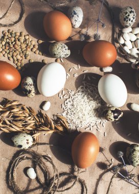 tavuk ve Bıldırcın yumurta