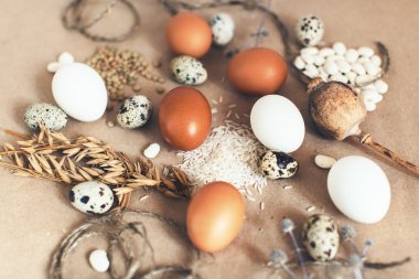 tavuk ve Bıldırcın yumurta