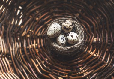 bıldırcın yumurtası sepeti