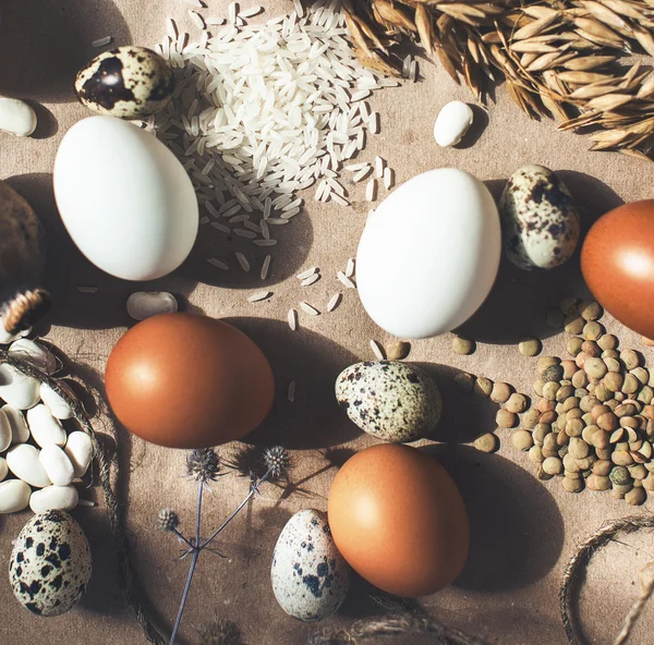 Chicken and quail eggs — Stock Photo, Image