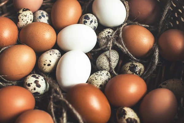 Ovos de galinha e codorniz — Fotografia de Stock