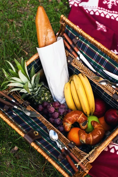 Kosz piknikowy z świeżych owoców — Zdjęcie stockowe