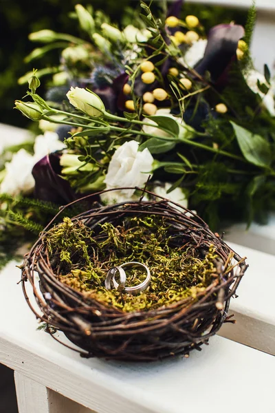 Wedding rings in bird nest — Stock Photo, Image
