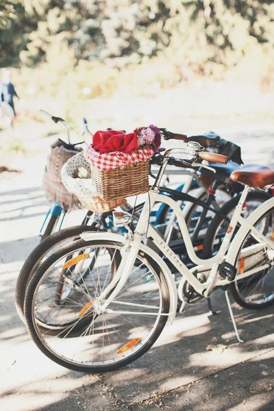 Old fashion bicycles with baskets