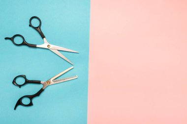 Profesyonel saç kesim aletleri, makas. Renkli arkaplan mavi ve pembe.