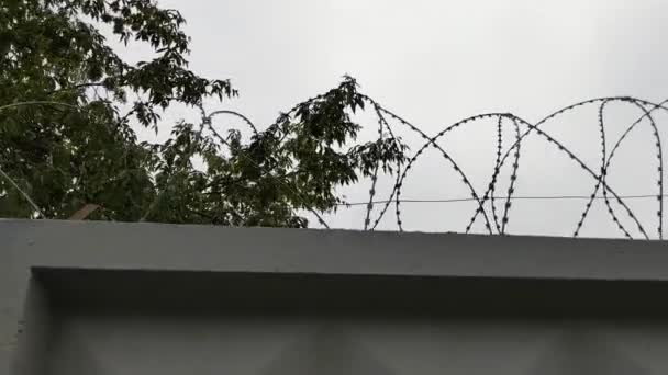Taggtråd på en betongvägg. En mulen himmel. Fängelse. Skyddat föremål. Begreppet olaglig invandring. — Stockvideo