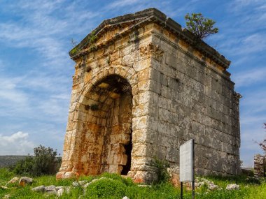 Mersin-Türkiye-kanlı divane.